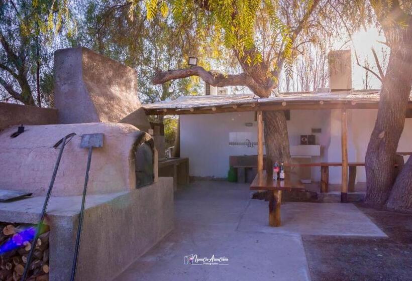 בית מלון כפרי Finca Los Olivos