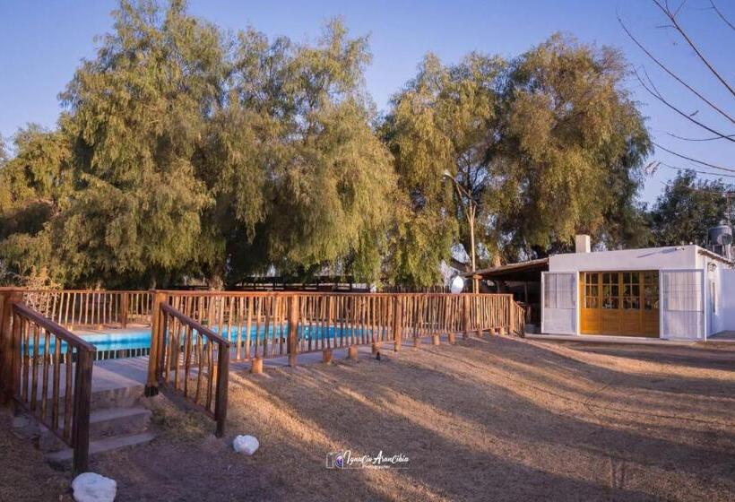 בית מלון כפרי Finca Los Olivos