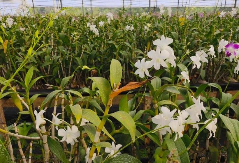 酒店 Nh16 Farm Stay And Restaurant