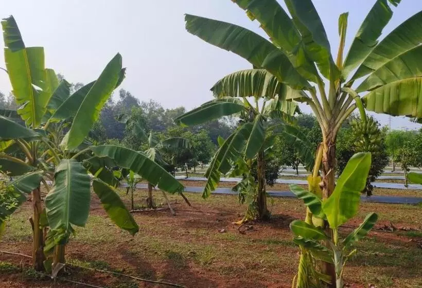 ホテル Nh16 Farm Stay And Restaurant