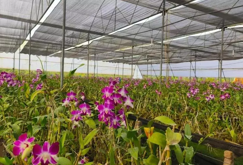 ホテル Nh16 Farm Stay And Restaurant
