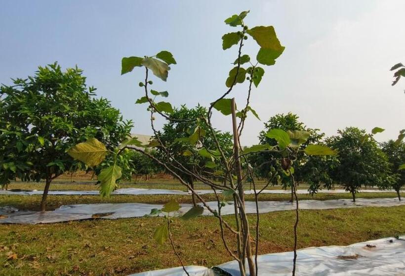 酒店 Nh16 Farm Stay And Restaurant