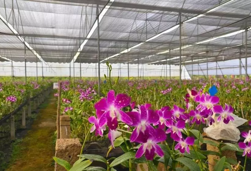 ホテル Nh16 Farm Stay And Restaurant