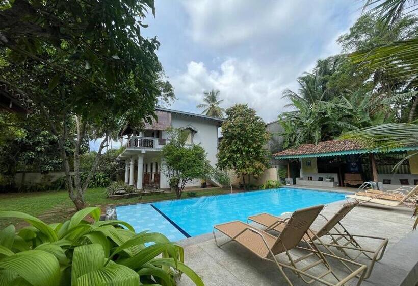 Pensione Dharma Place