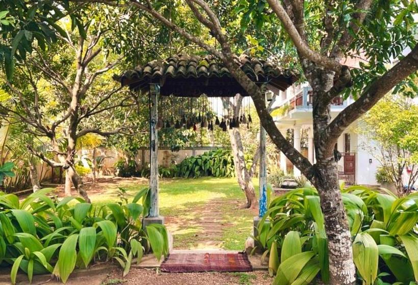 Pensione Dharma Place