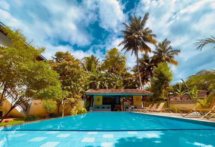 Pensione Dharma Place