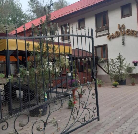 بنسيون Hanul Anitei La Paducel