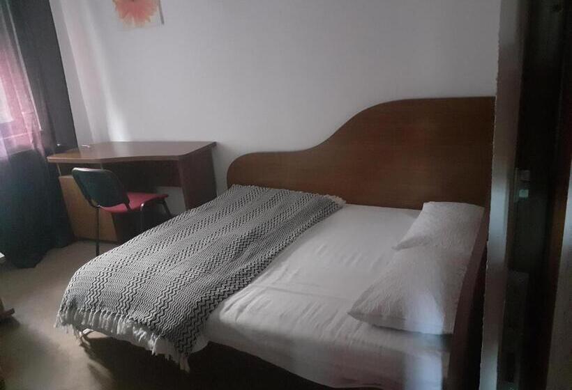 بنسيون Hanul Anitei La Paducel