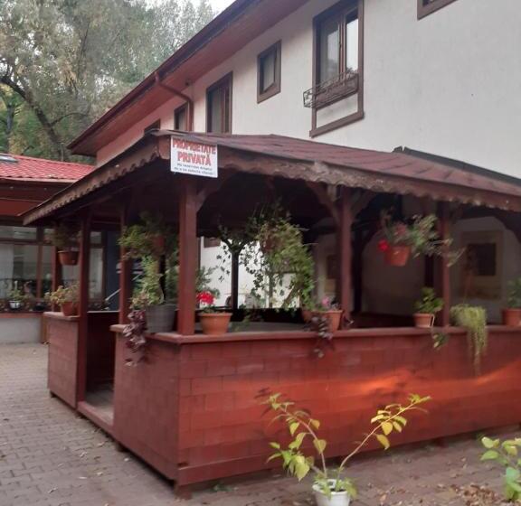 بنسيون Hanul Anitei La Paducel