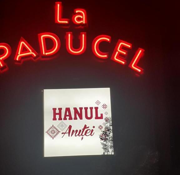 بنسيون Hanul Anitei La Paducel