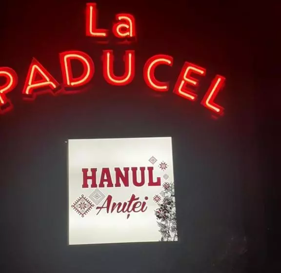 ペンション Hanul Anitei La Paducel