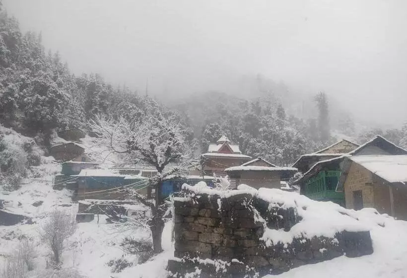 Majatalo Himalayan Bunker, Dingcha Village, Tindar