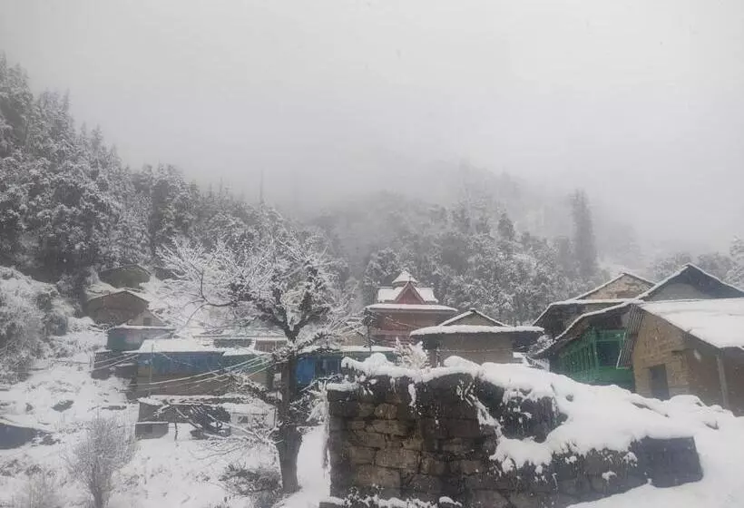 Majatalo Himalayan Bunker, Dingcha Village, Tindar