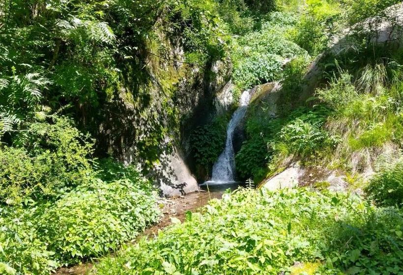 Majatalo Himalayan Bunker, Dingcha Village, Tindar