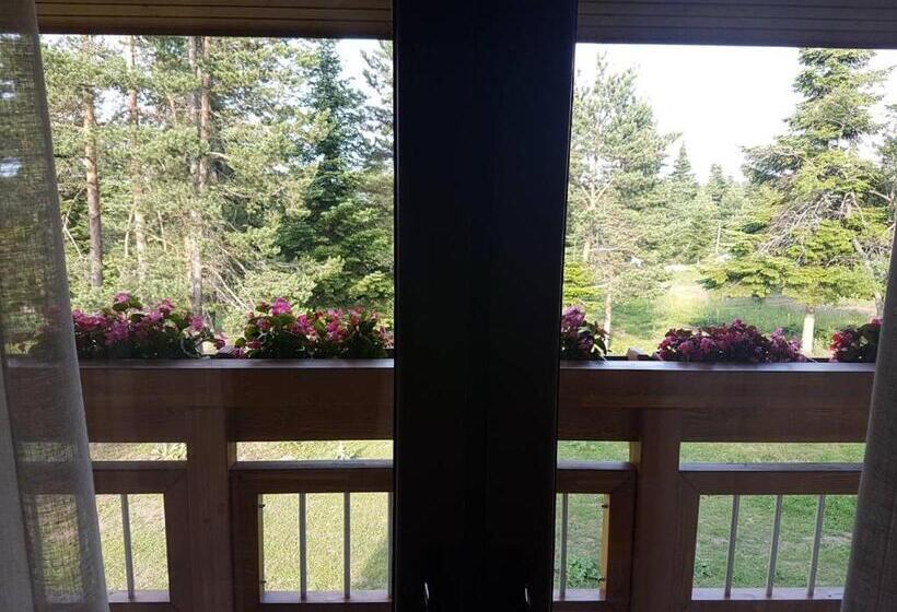 אתר נופש Horse Riding Club Pirin