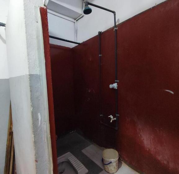 ユースホステル New Star Lodge