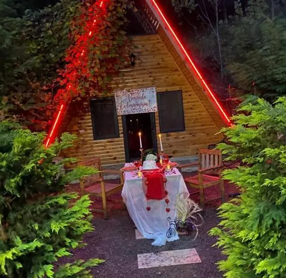 ベッドアンドブレックファースト Yuvacik Kazli Bahçe Bungalov Otel Ve Restoran