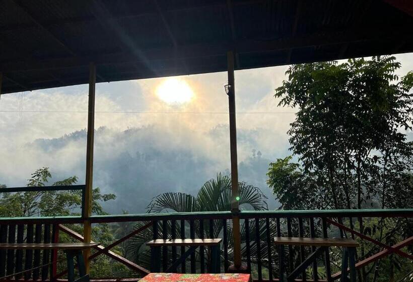 هتل Caribbean Paradise