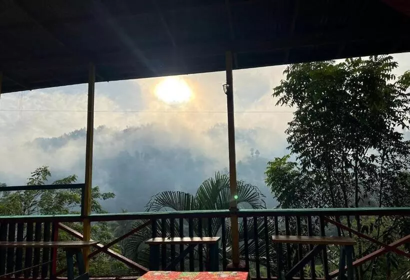 هتل Caribbean Paradise