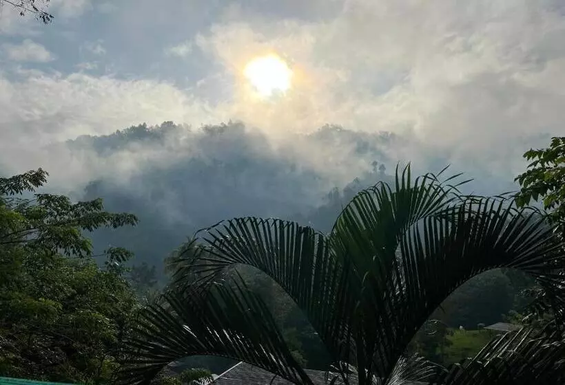 هتل Caribbean Paradise