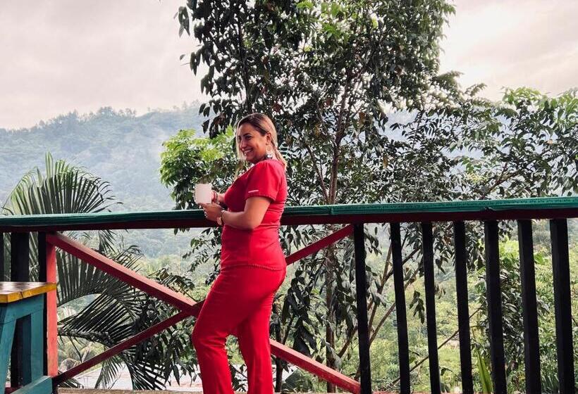 هتل Caribbean Paradise