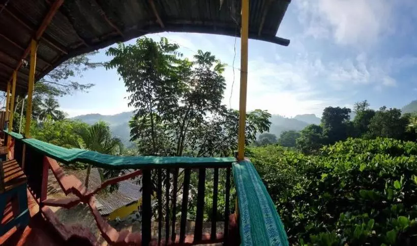 هتل Caribbean Paradise