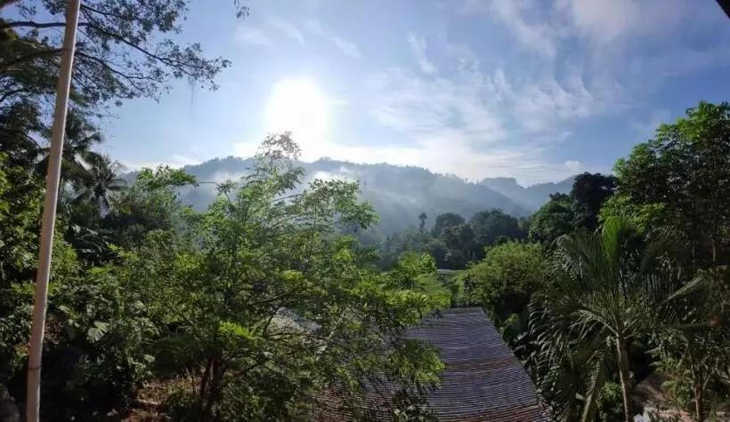 هتل Caribbean Paradise