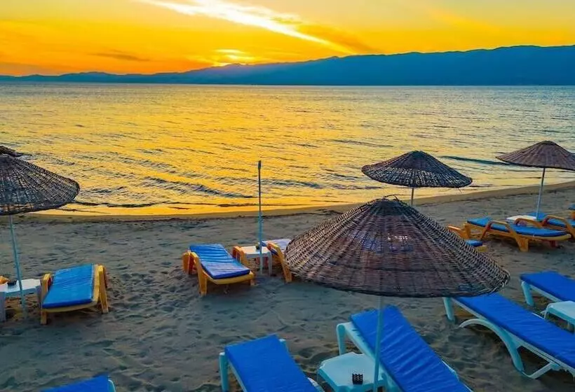 ホテル Dream Holi̇day Resort