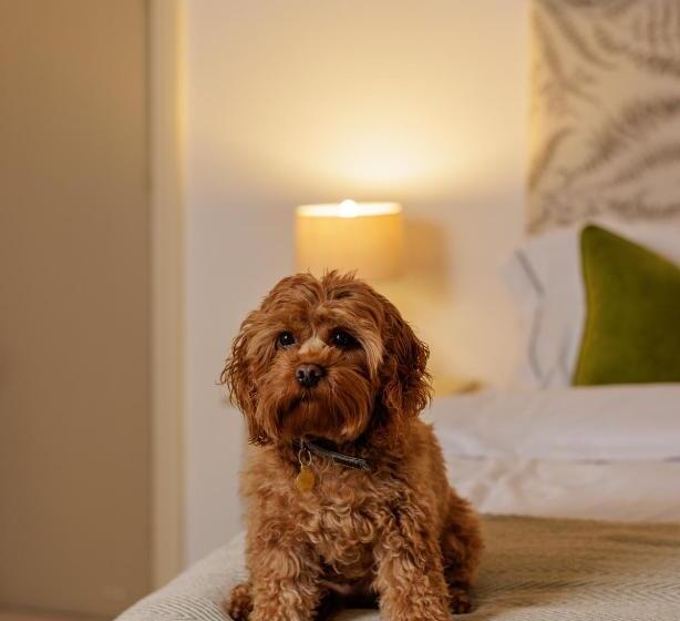 בית מלון כפרי The Dashwood