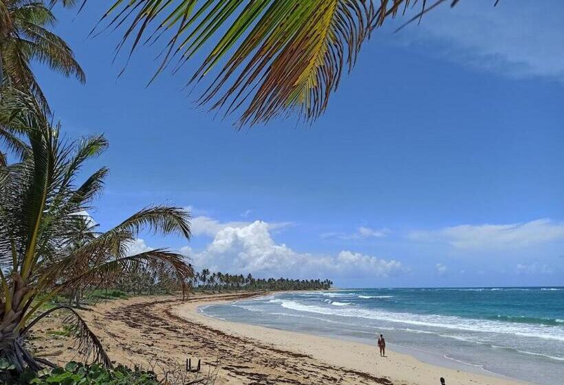 مُتل Las Mercedes