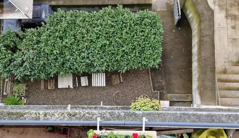 ペンション Maison D Hôtes Sud Ouest Paris