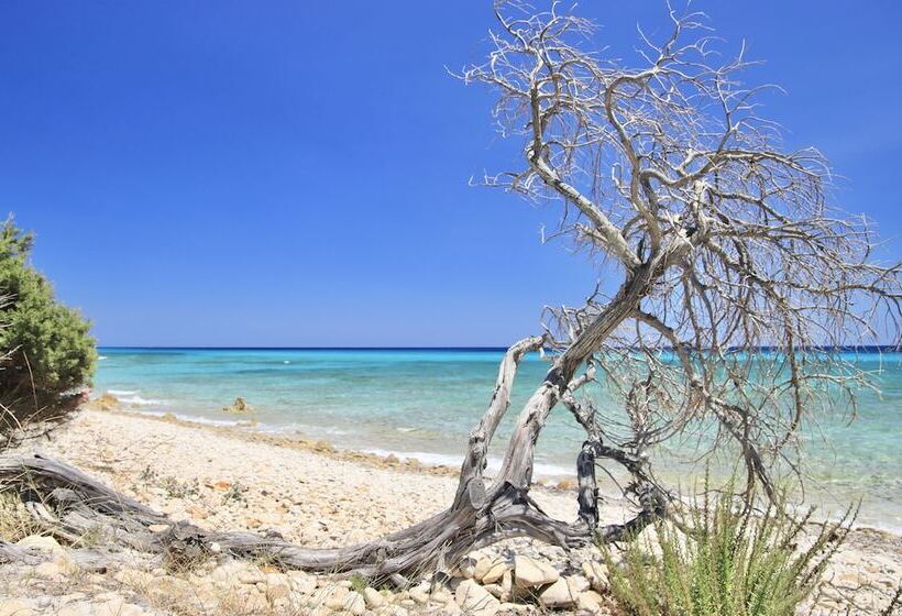 Residence In Orosei Just 3 Km From The Sea