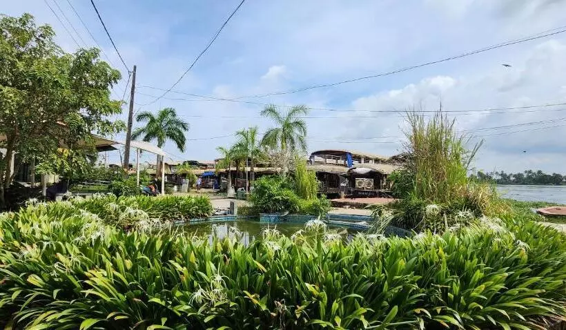 ベッドアンドブレックファースト Marari Johns Homestay  Mararikulam, Alappuzha
