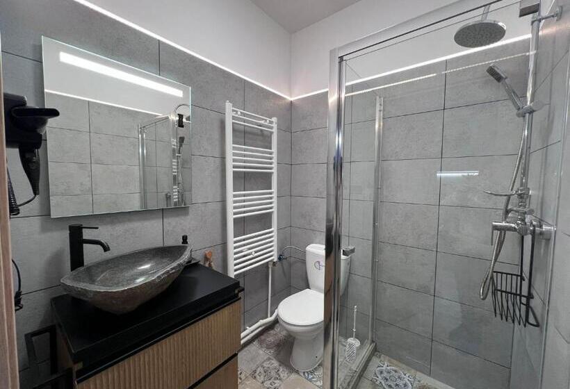 هتل Casa Basarab Brasov