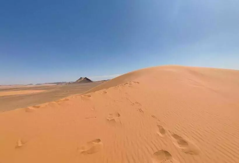 Majatalo Hôte Sahara & Spa Tadighoust
