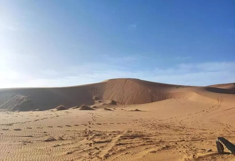 Majatalo Hôte Sahara & Spa Tadighoust