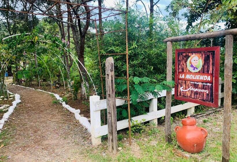 هتل Cabañas Luma