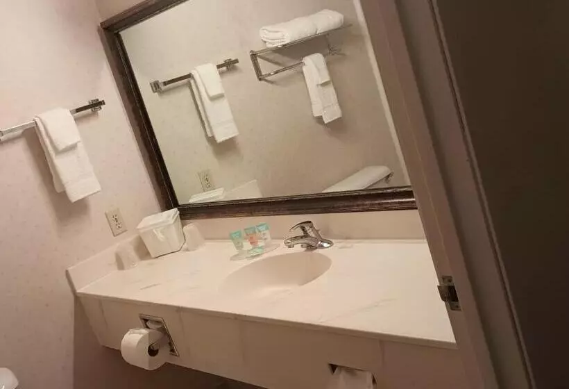 Hotelli Colony Inn