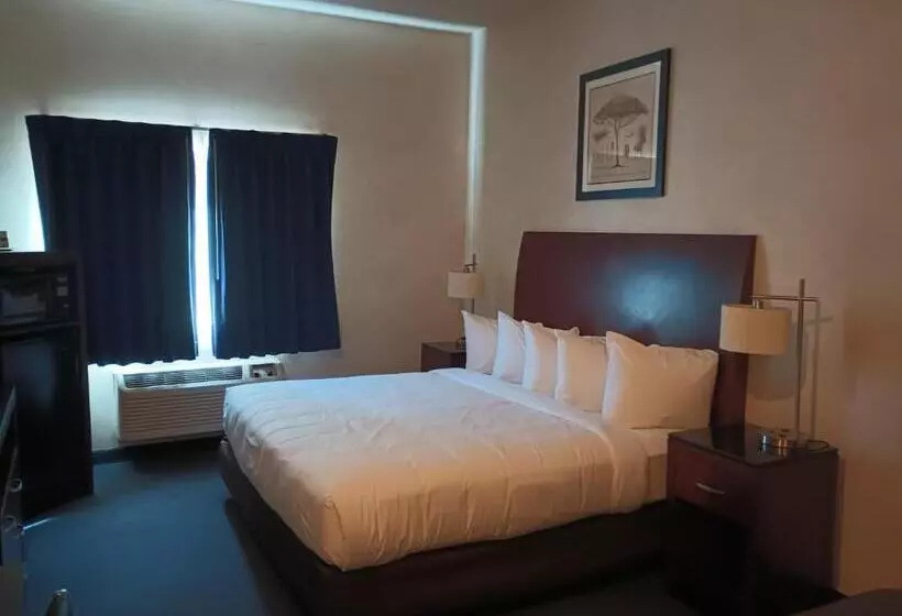 Hotelli Colony Inn