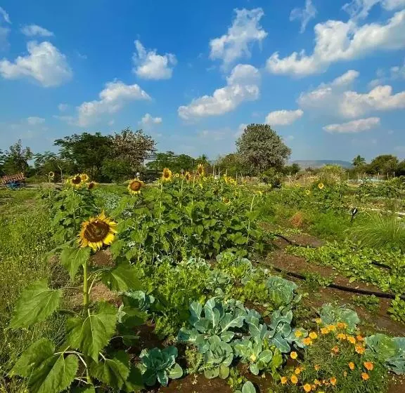 ホテル Dhyaana Farms