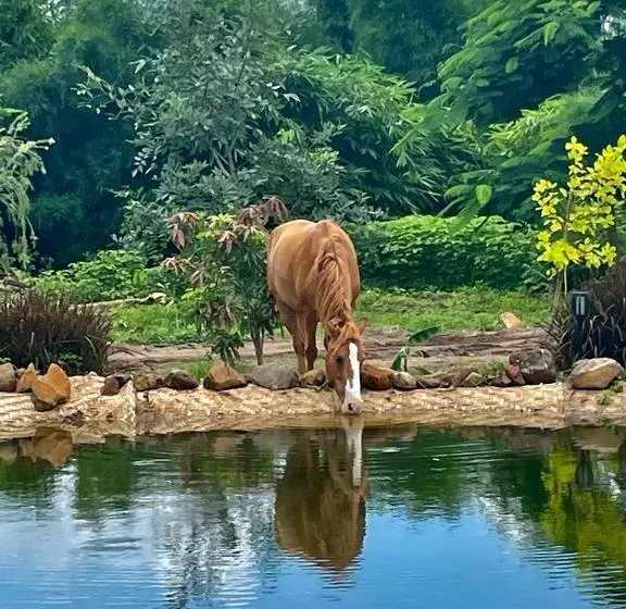 ホテル Dhyaana Farms