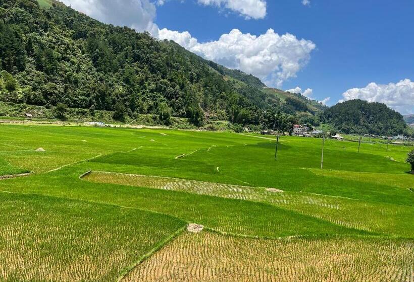 Hotel Homestay Hoà Thảo