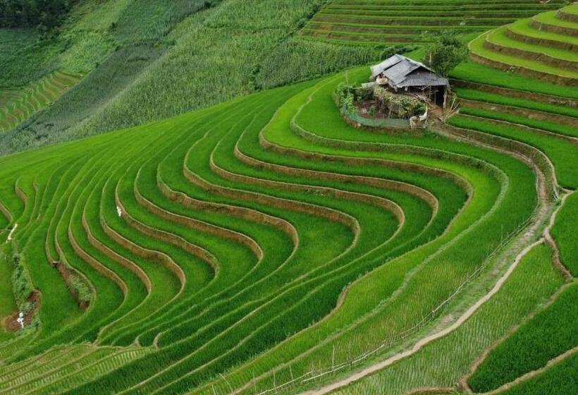 Hotel Homestay Hoà Thảo