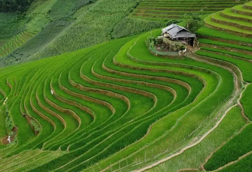 هتل Homestay Hoà Thảo