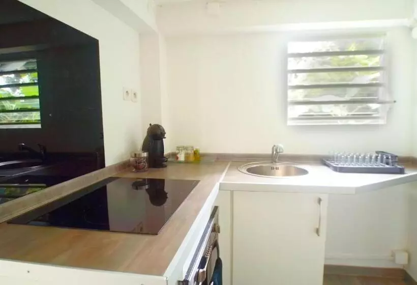 پانسیون Gite Thérèse Lamentin