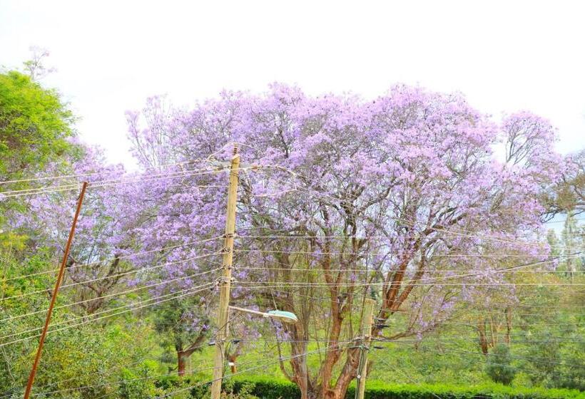 پانسیون Gp Modern Homes  Kingo Ngo Nyeri