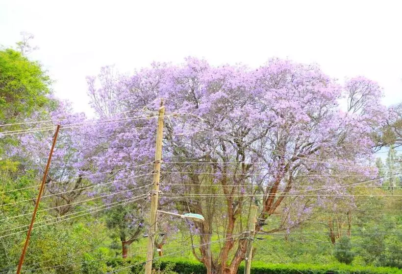 پانسیون Gp Modern Homes  Kingo Ngo Nyeri