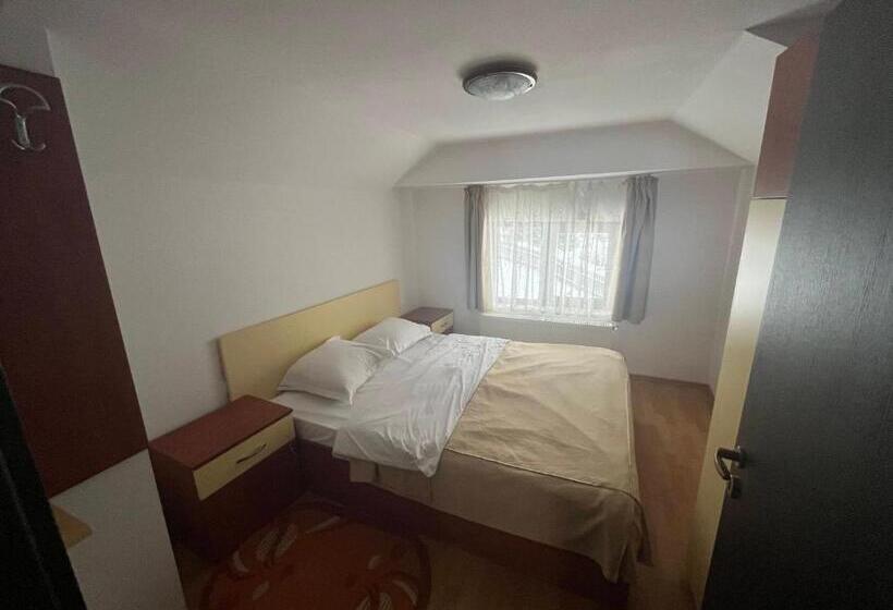 Pensiunea Valea Dorului