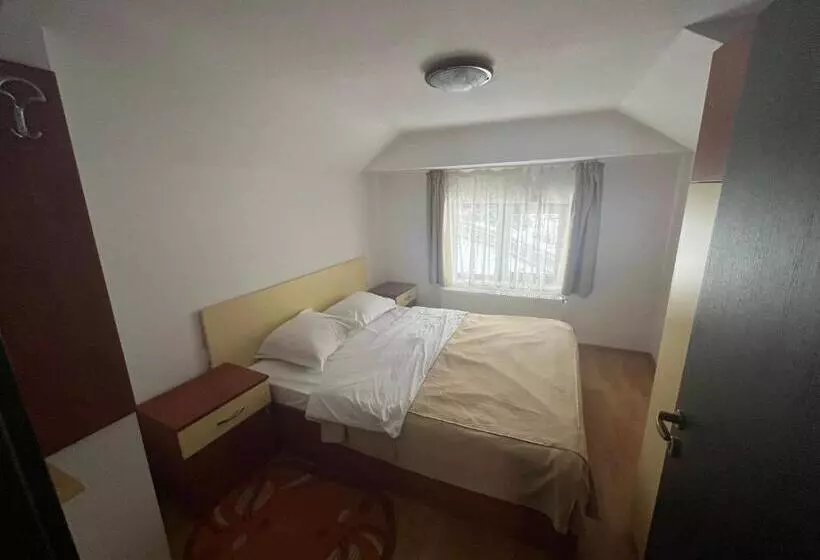 Pensiunea Valea Dorului