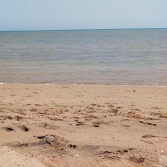 منتجع طيبه فيو